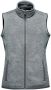 Avalanche full zip fleece vest (D) Karbon