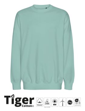 Tiger Cotton Oversized Sweatshirt Dusty Mint