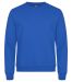 Miami Roundneck Royal blue
