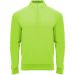 Epiro langærmet sweatshirt med kvart lynlås til børn Fluor Green